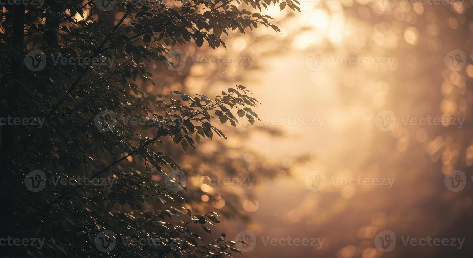 Sunlit forest scene featuring tree branches with leaves in foreground and blurred background with bokeh effect. Atmospheric nature shot with warm light. photo