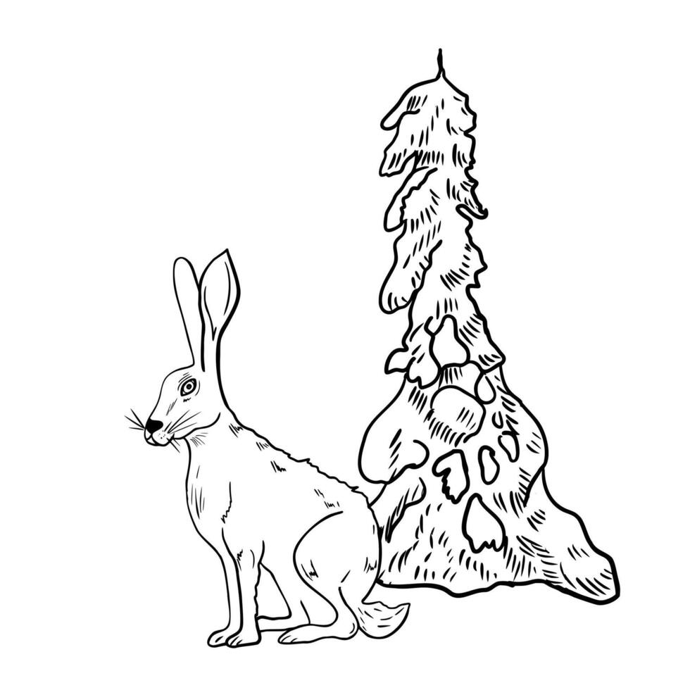 Hare beside snow covered fir tree hand drawn black white outline illustration. Simple winter woodland scene monochrome sketch for Christmas cards, nursery decor, and holiday prints. vector
