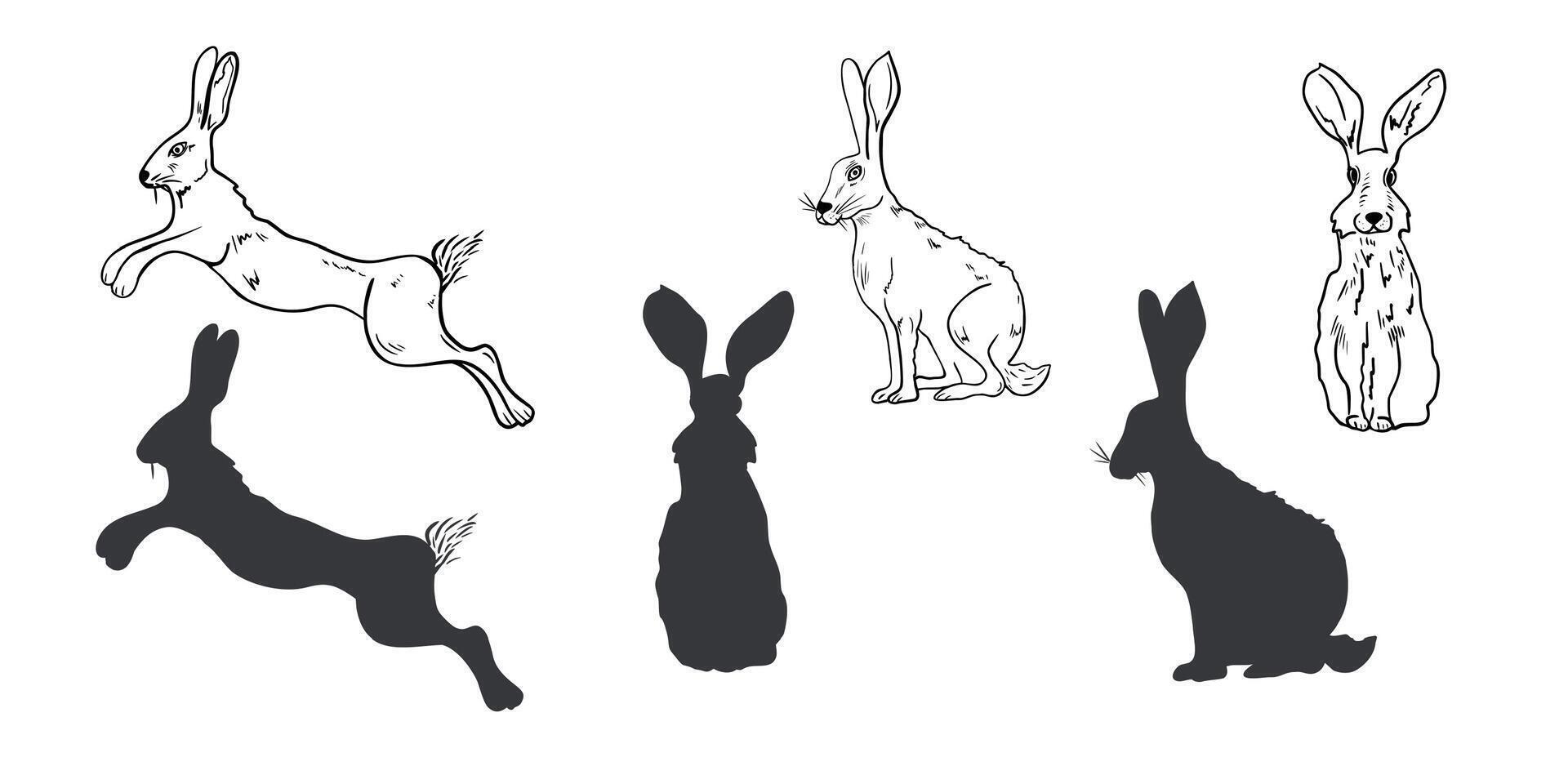 Hare hand drawn black white outline set illustration. Forest animal graphic sketch for winter and Christmas design. Rabbit, wild hare silhouette drawing for seasonal packaging, stationery. vector