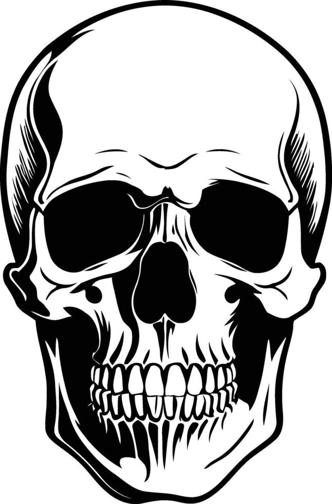 Skull and Crossbones Illustration with Human Skull and Bones vector