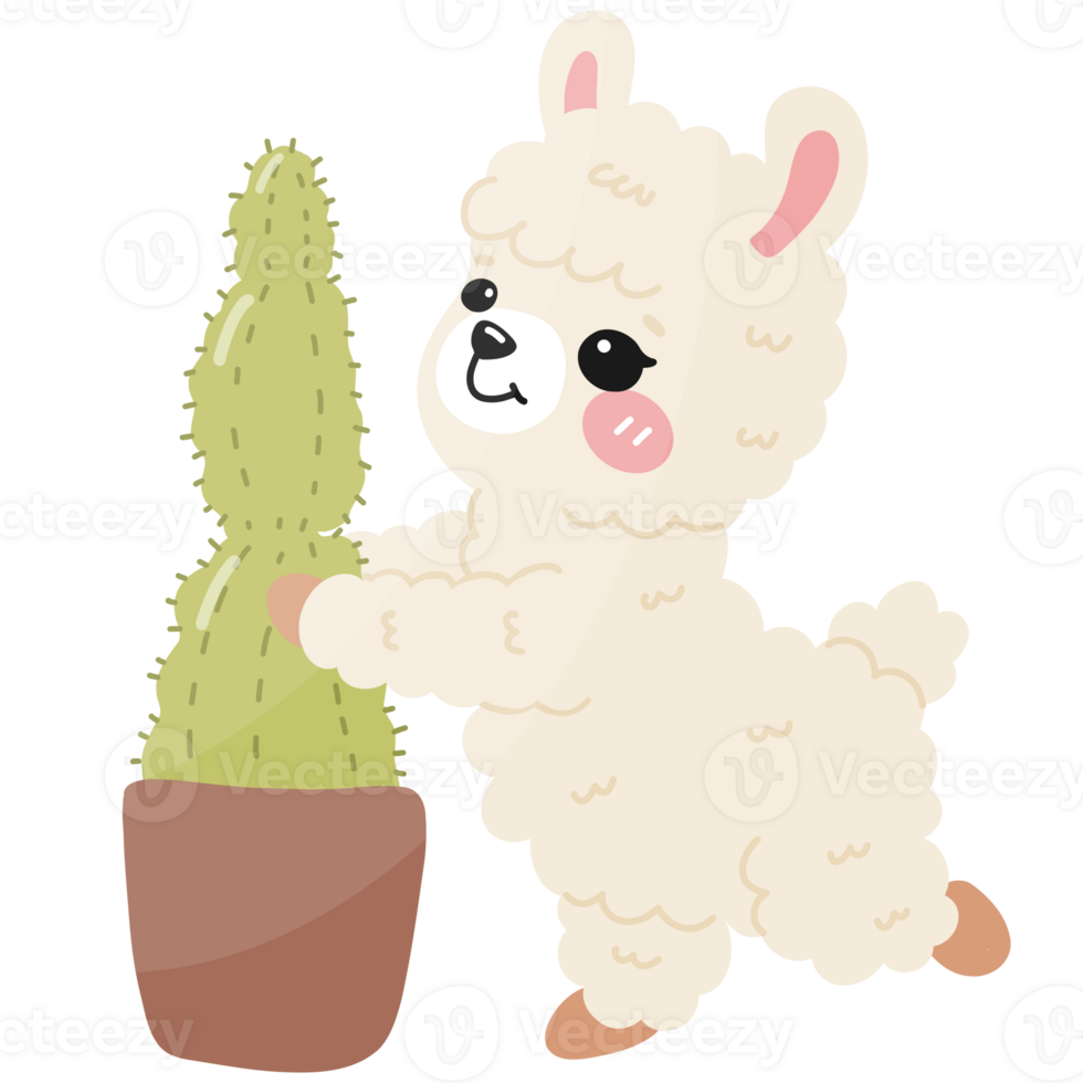 Adorable Llama Standing with Cactus png