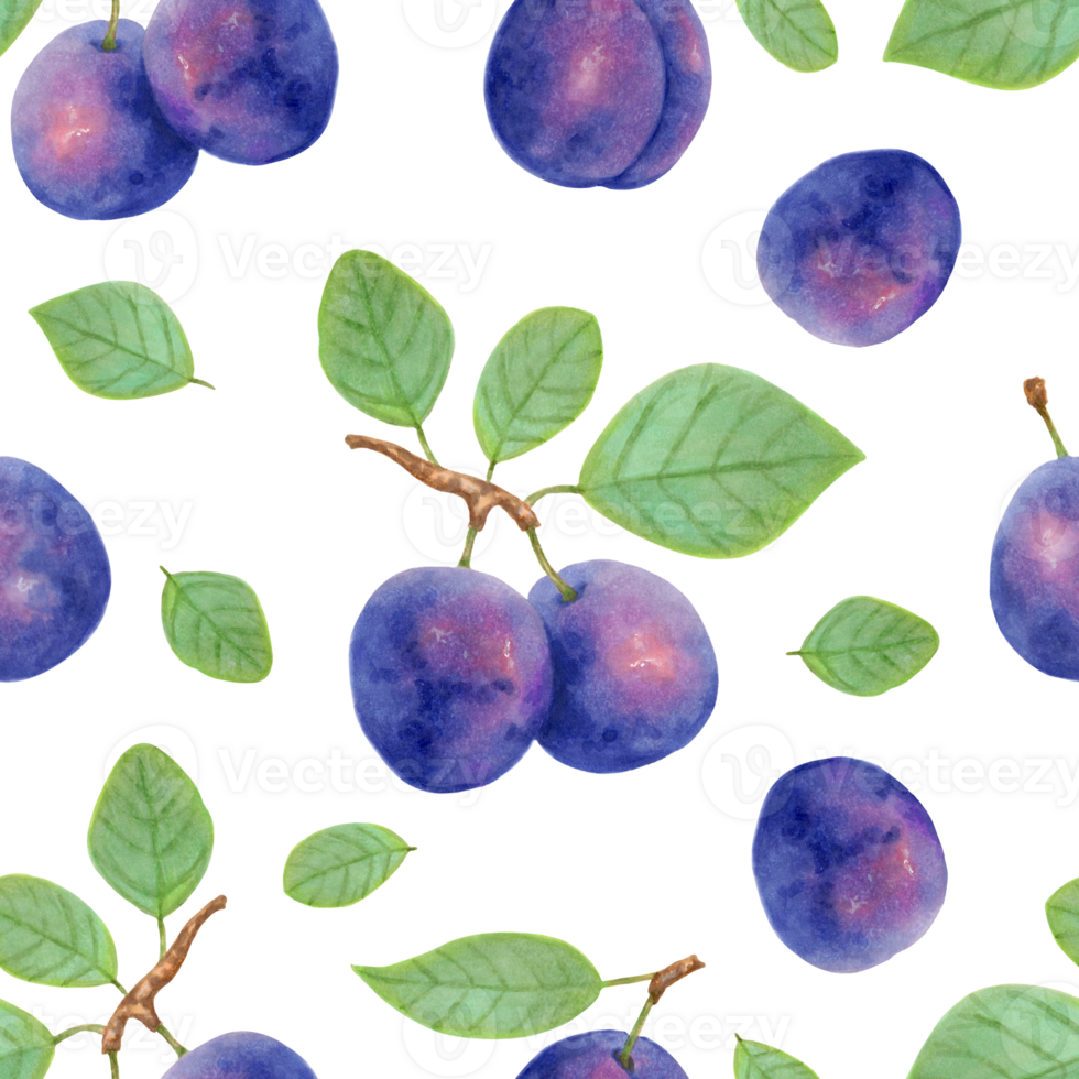 Purple plums with leaves seamless fruit pattern. Botanical illustration with markers and watercolor. Plum berry wallpaper for food packaging design, tablecloths. Hand drawn isolated background png