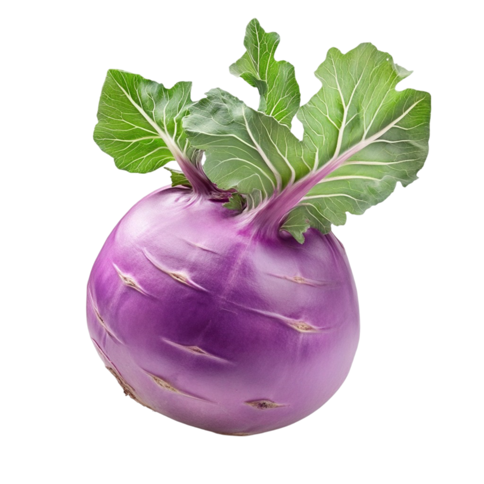Natural and Fresh Purple Kohlrabi Vegetable Isolated on Transparent Background png