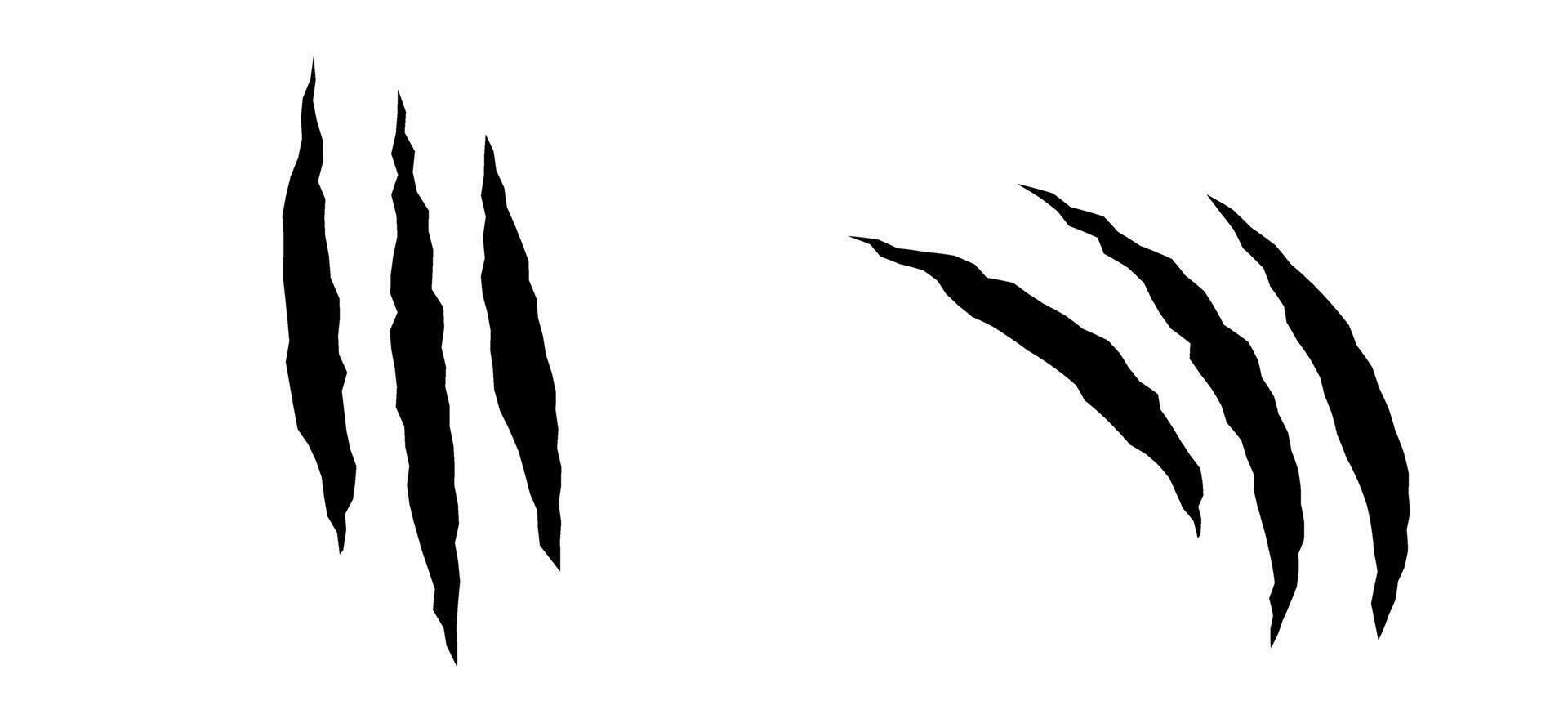 Cat scratches. Black claws animal scratch, Torn paper. Cat claws trace. illustration on black background. vector