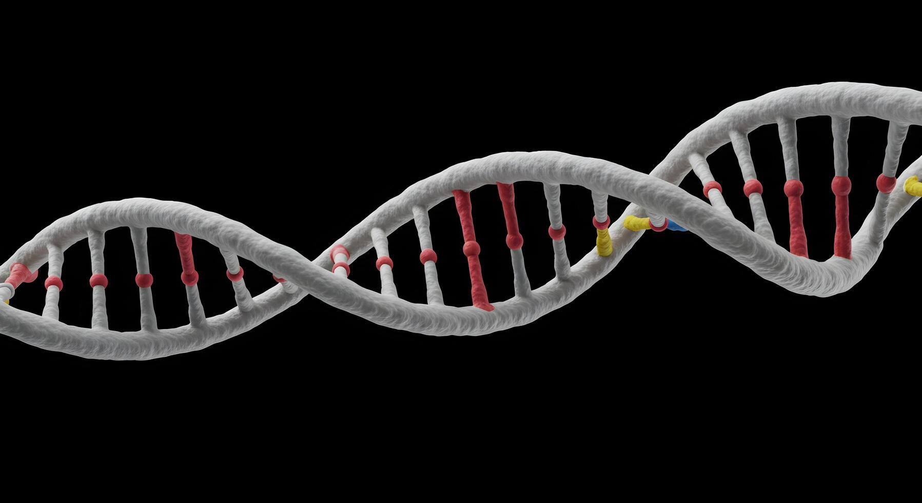 Detailed rendering of a DNA molecule structure on a black backdrop photo