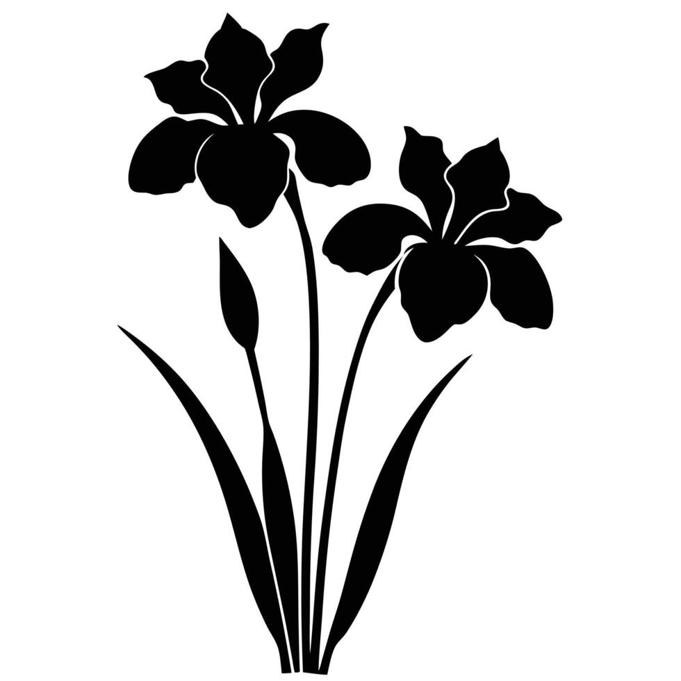 Elegant Black Silhouette of Two Iris Flowers and Bud vector