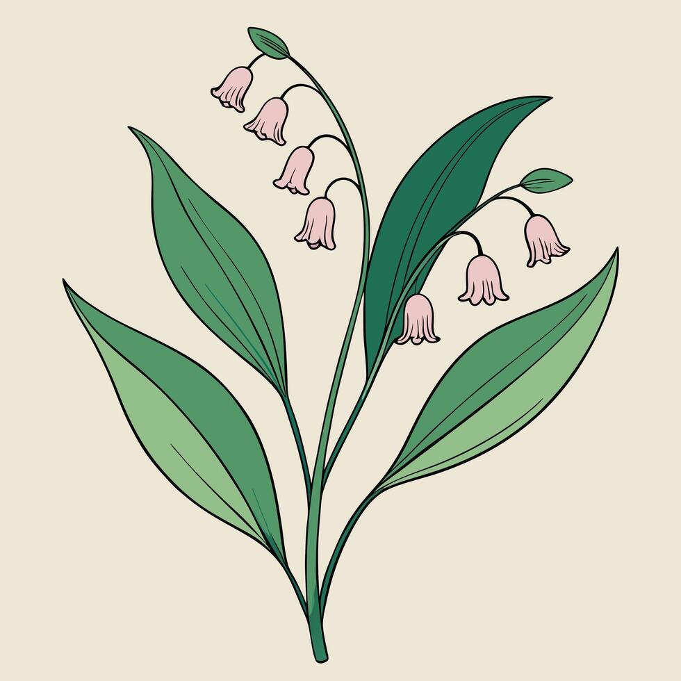 Elegant Illustration of Lily of the Valley Flowers and Leaves vector