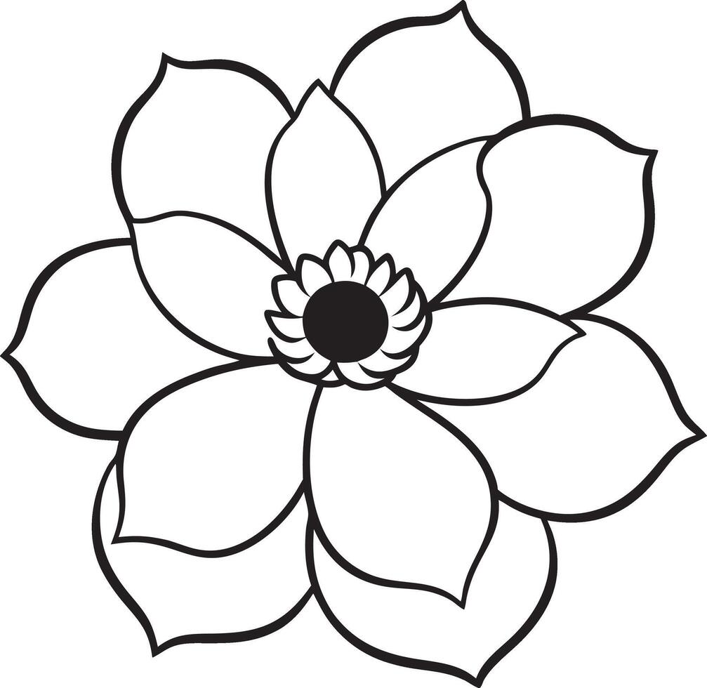 anemone flower line art vector