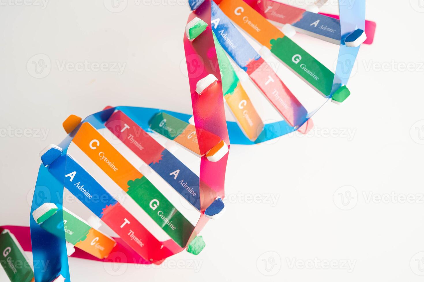 DNA molecule spiral structure model isolated photo