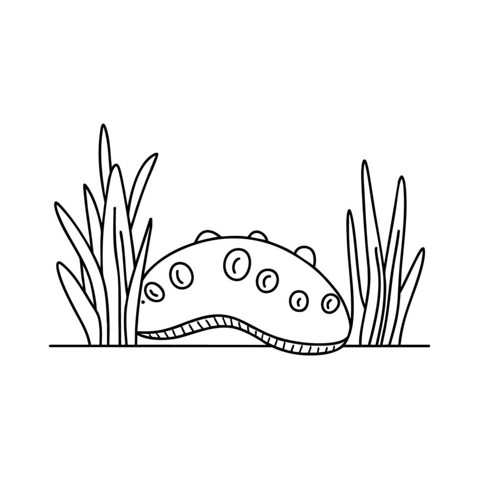 A sea cucumber moving slowly among seagrass and coral vector