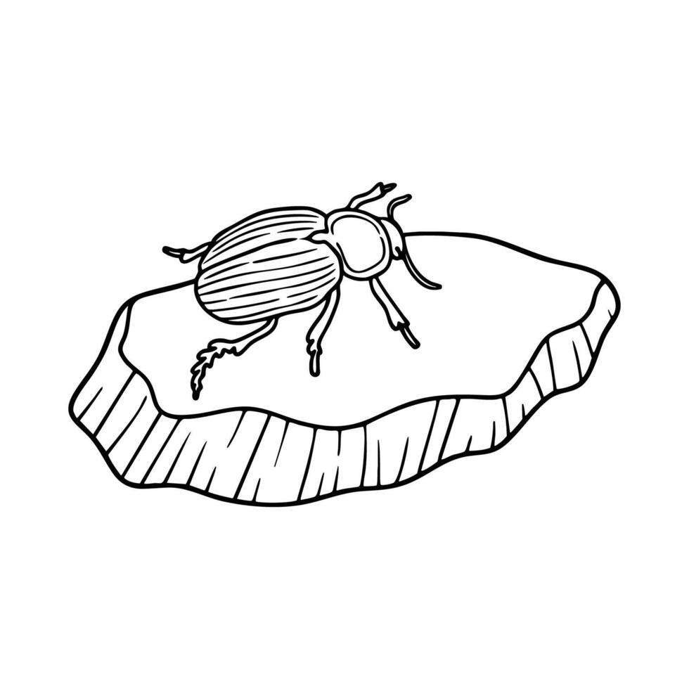 A scarab beetle crawling slowly across a dry desert rock vector