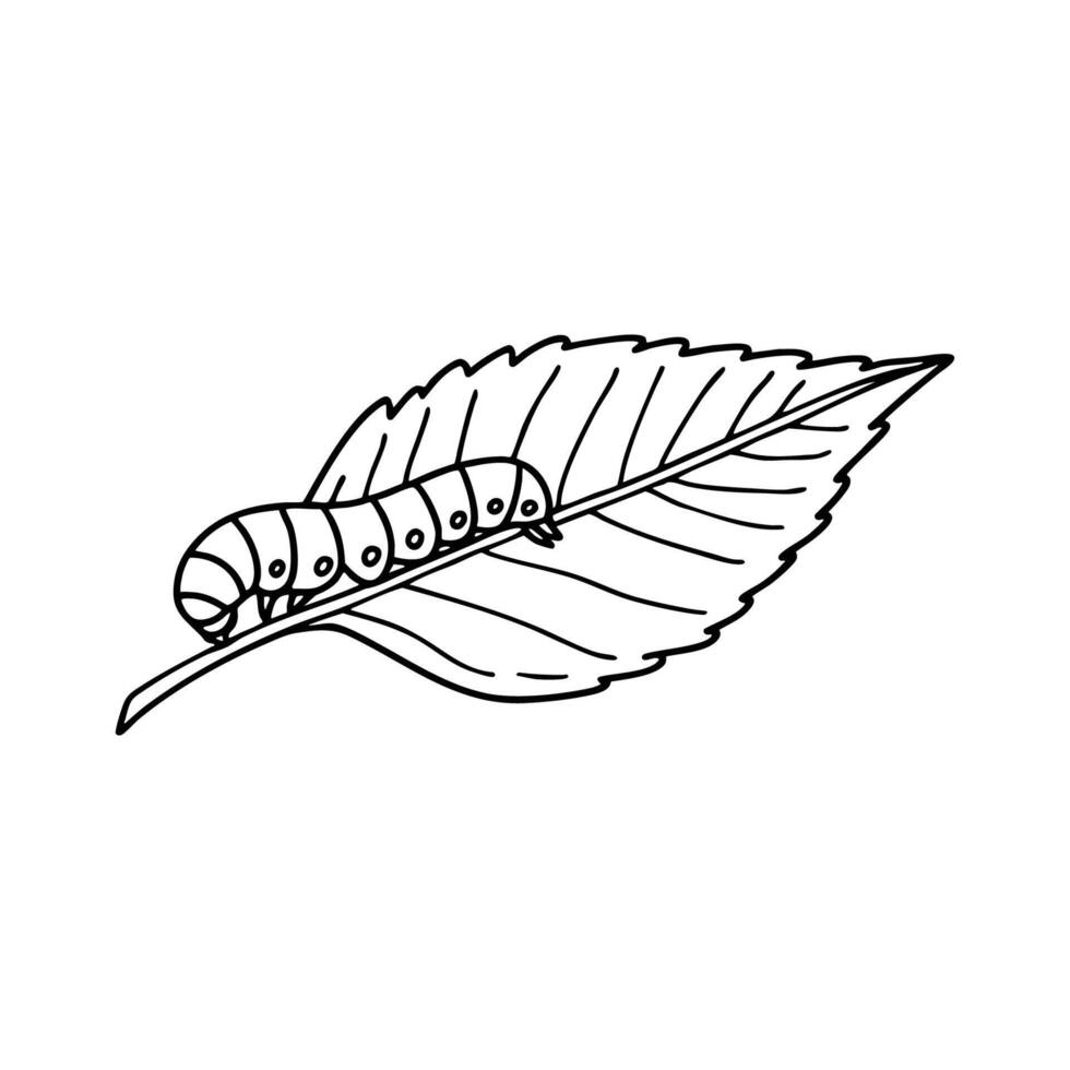 A silkworm crawling slowly across a mulberry leaf vector