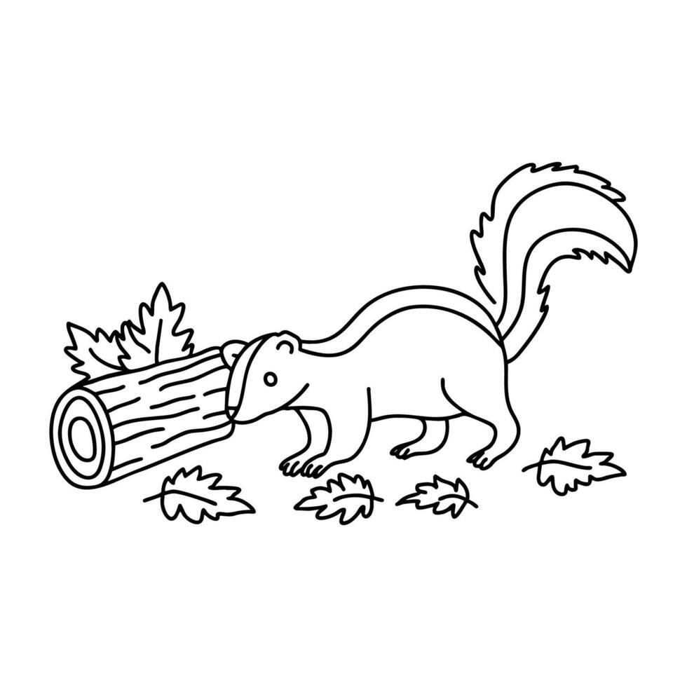 A skunk hiding behind tall grass near a stream vector