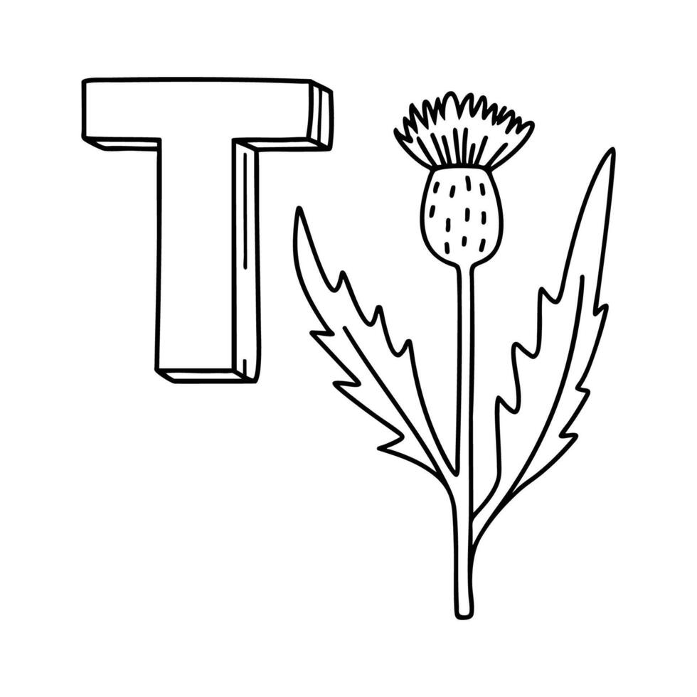 An illustration of letter T stands for Thistle vector