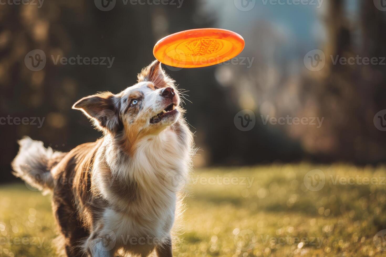 Energetic dog with alert expression leaps to catch an orange frisbee in mid-air, surrounded by a lush outdoor setting under soft, natural lighting, conveying motion and excitement photo