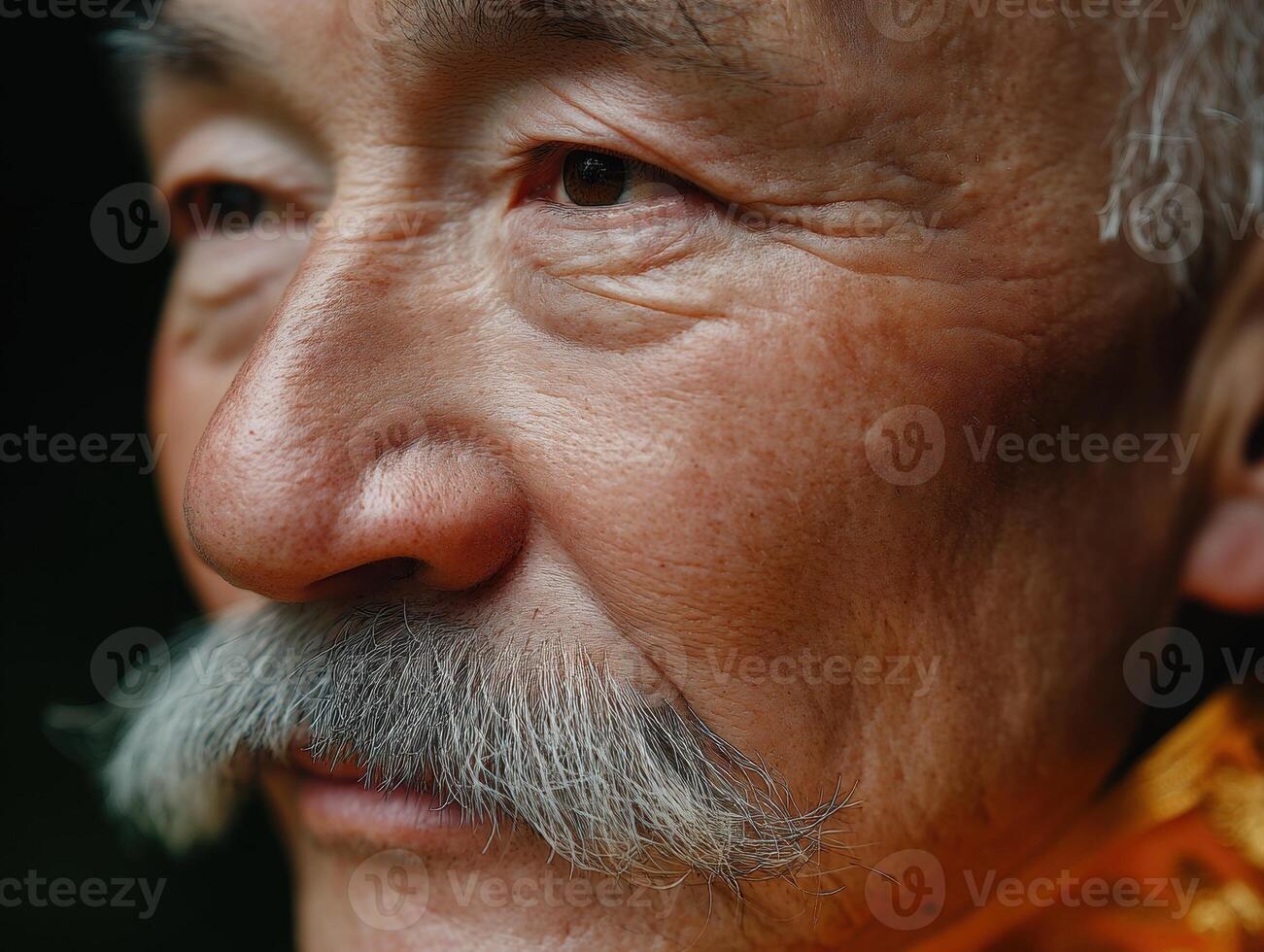 Elderly man with a prominent mustache and a thoughtful expression gazes into the distance. His skin shows age lines, and his solemn eyes convey wisdom and experience, hinting at a rich life story photo