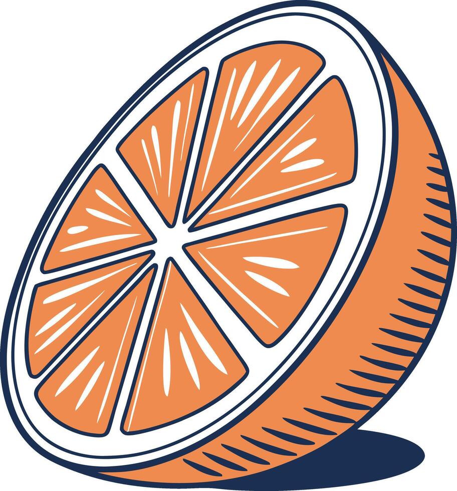 Fresh Orange Slice vector
