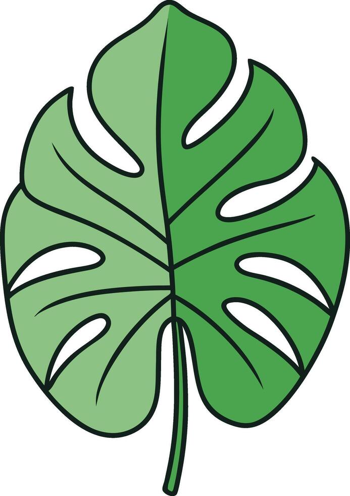 Tropical Monstera Leaf vector