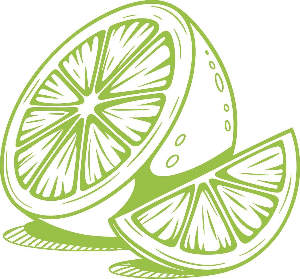 Cut lime and a wedge vector