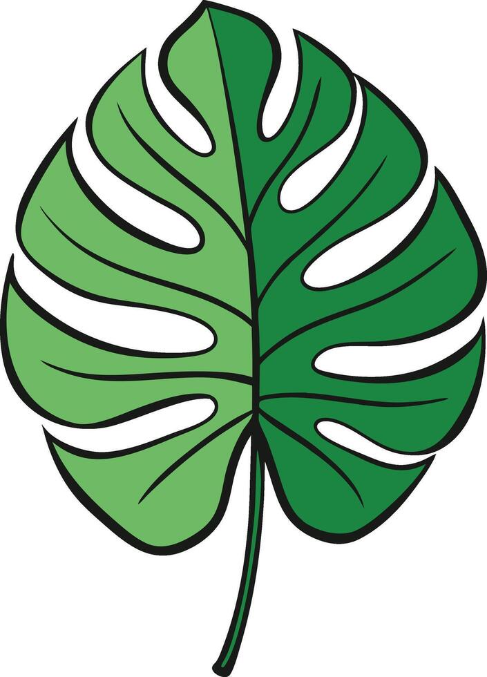 Monstera Leaf Illustration vector