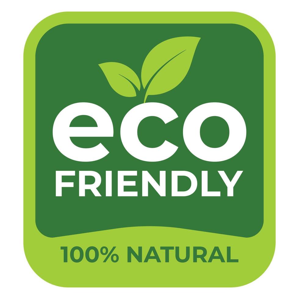 Set of eco friendly icons Ecologic food stamps Organic natural food labels Stickers for green ecological products Fresh natural products Vegan dishes Caring for nature vector