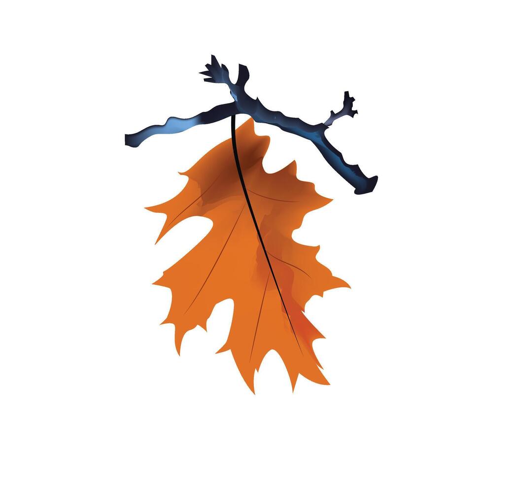 Single maple leaf with intricate details on white background, texture vector