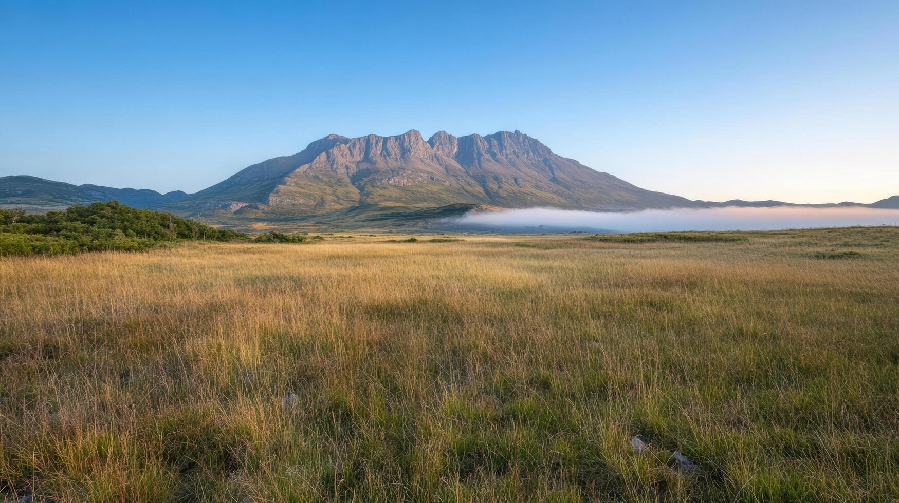 A mountain range with grass and trees in the foreground photo