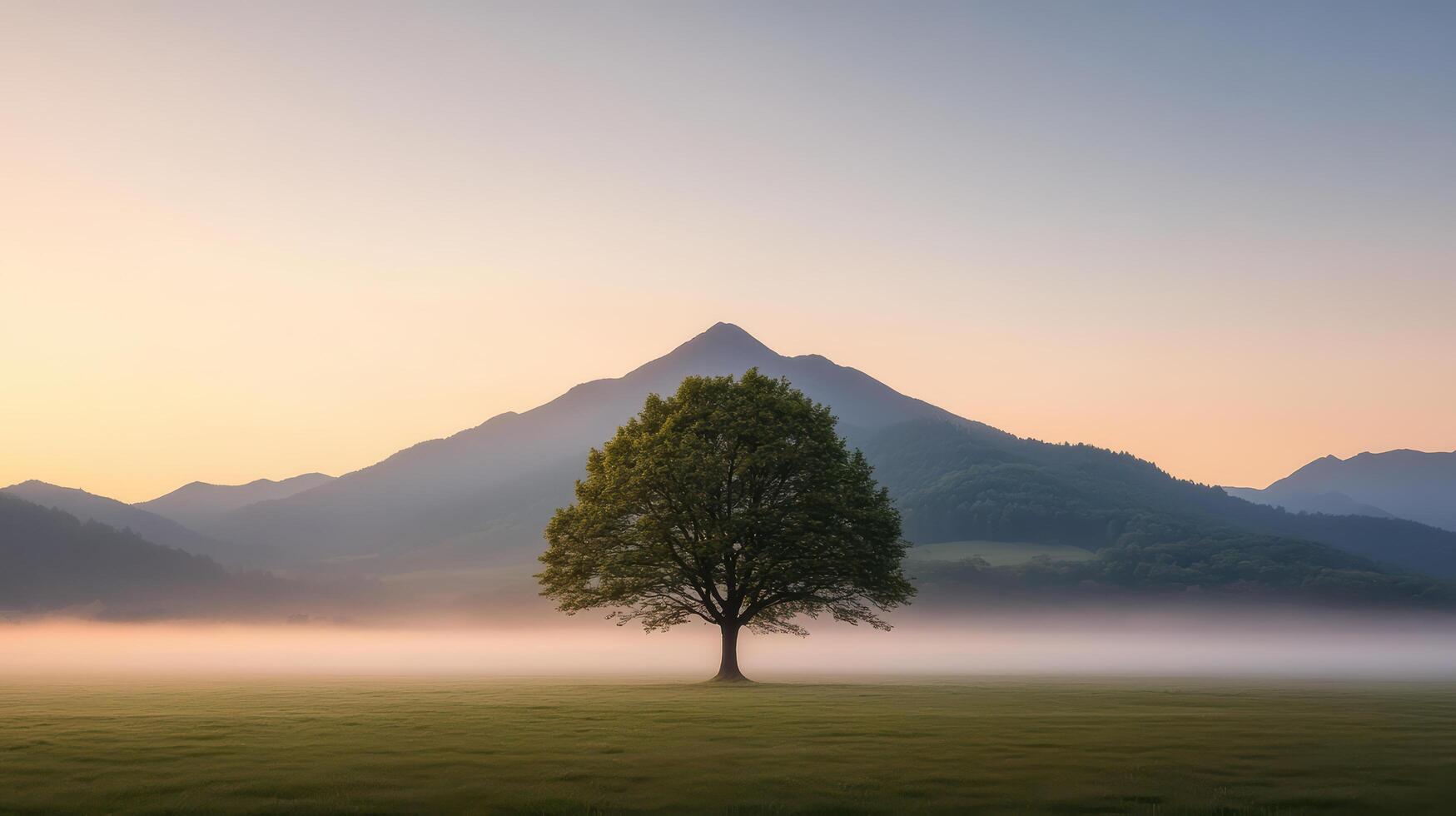 A lone tree stands in the middle of a field with mountains in the background photo