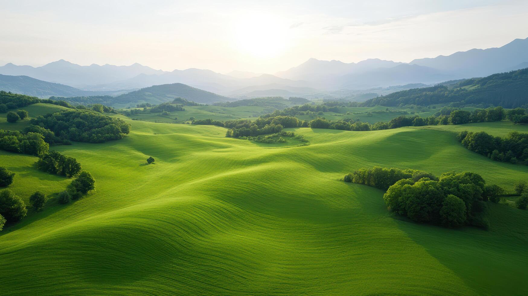 Green hills and trees in the mountains photo