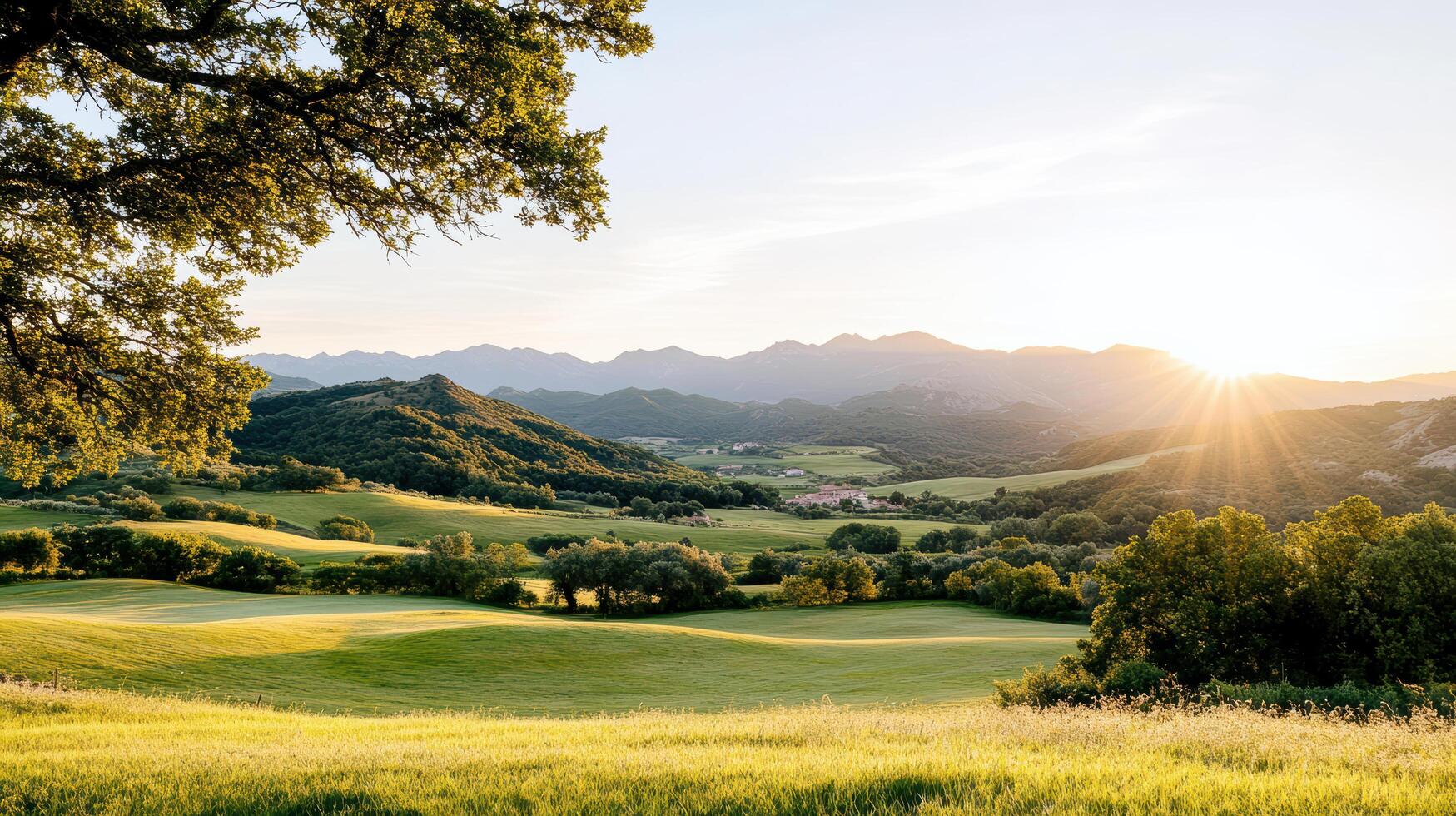 A beautiful view of a golf course at sunset photo