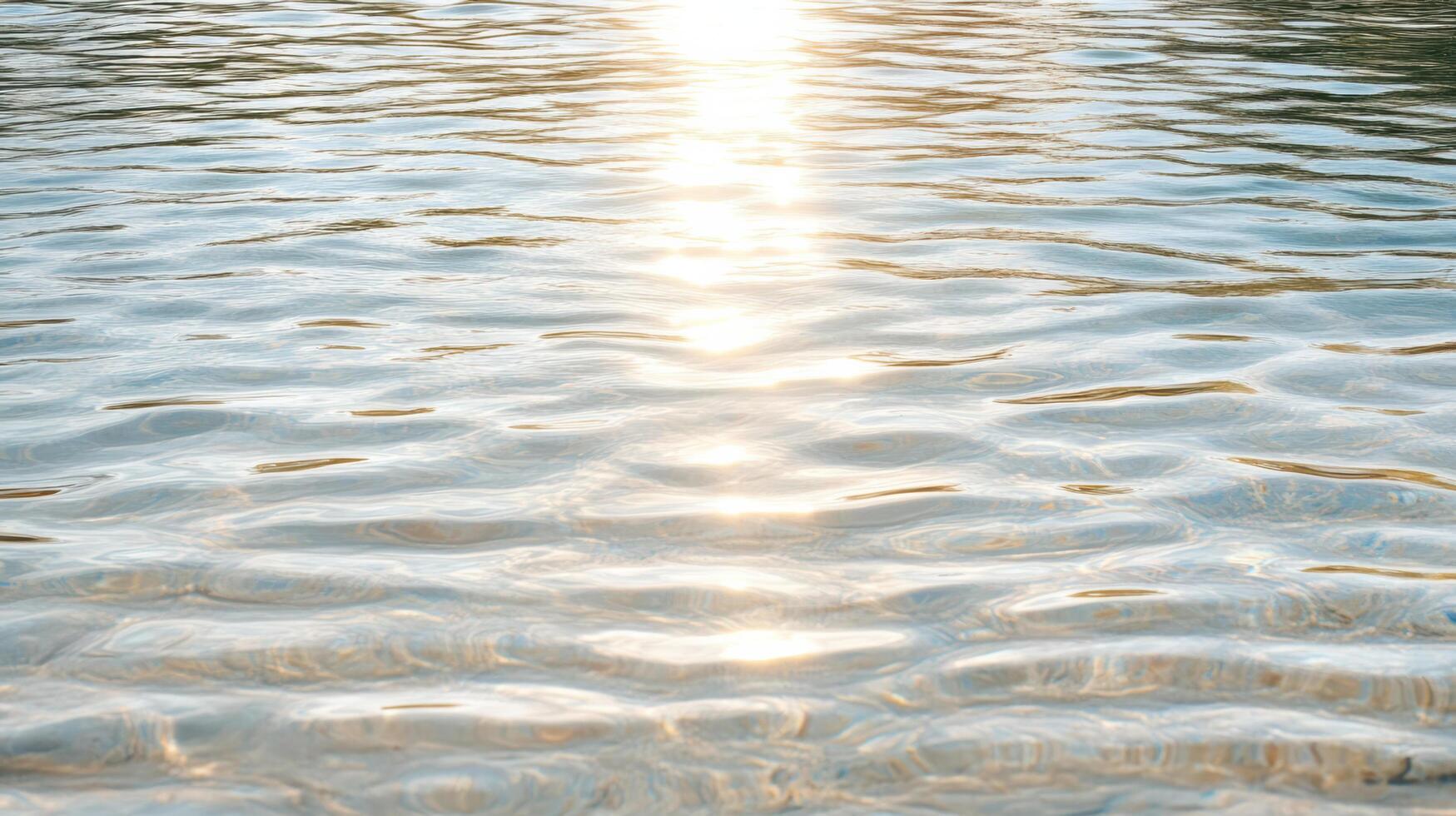 Sunlight shining through the water on a beach photo