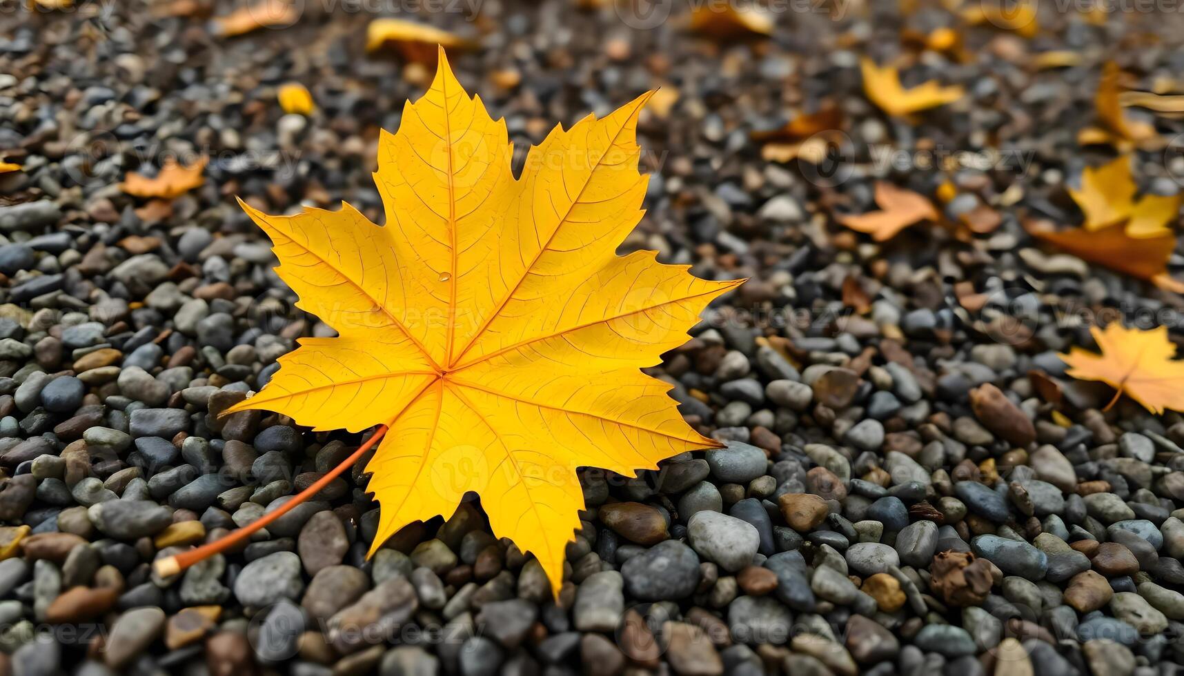 a yellow leaf laying on top of a pile of rocks photo