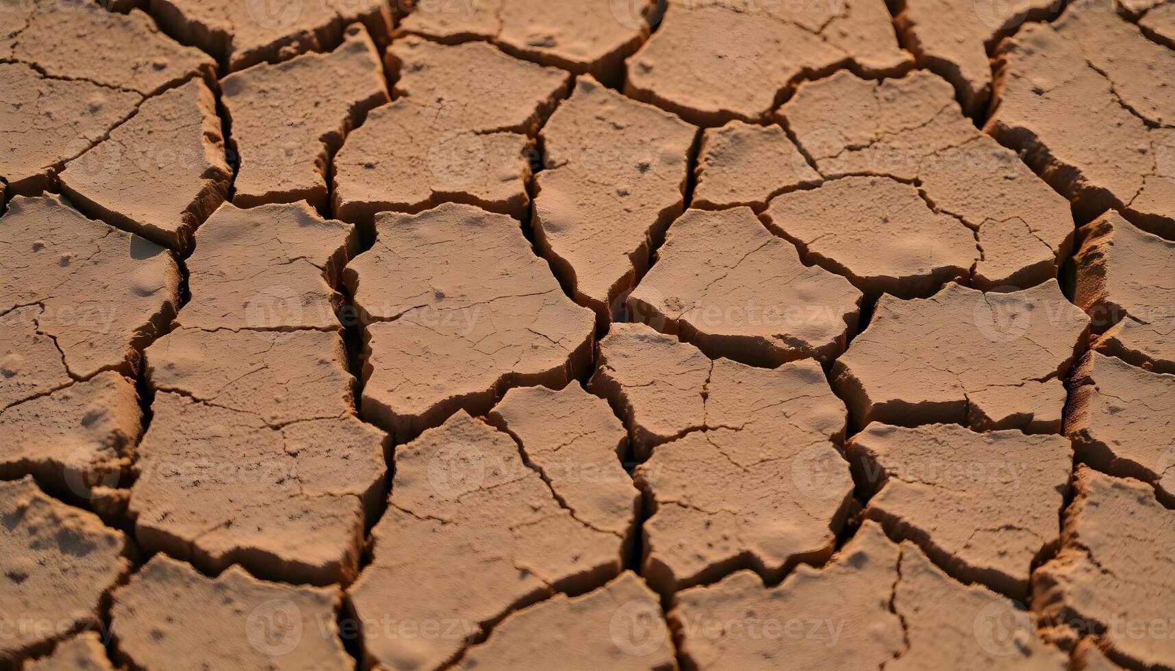 a close up view of a cracked surface photo