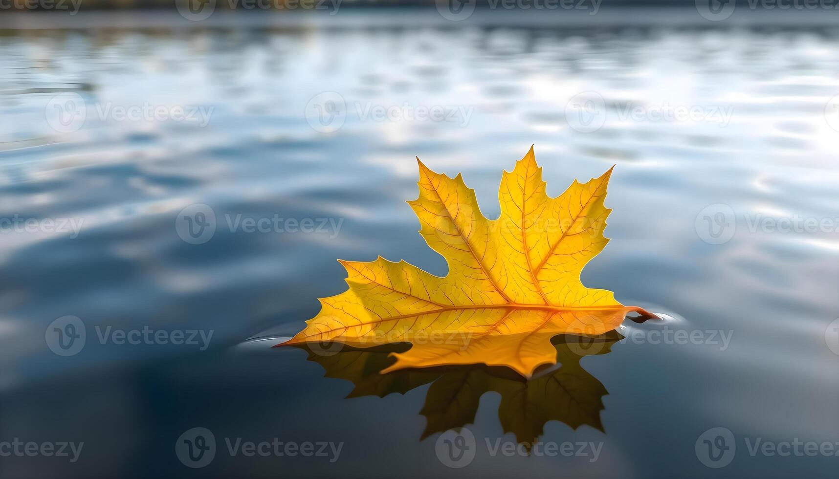 a yellow leaf floating on top of a body of water photo