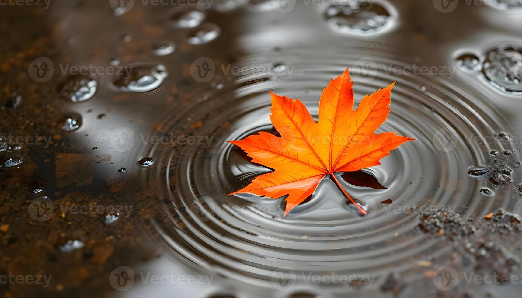 an orange leaf floating in a puddle of water photo