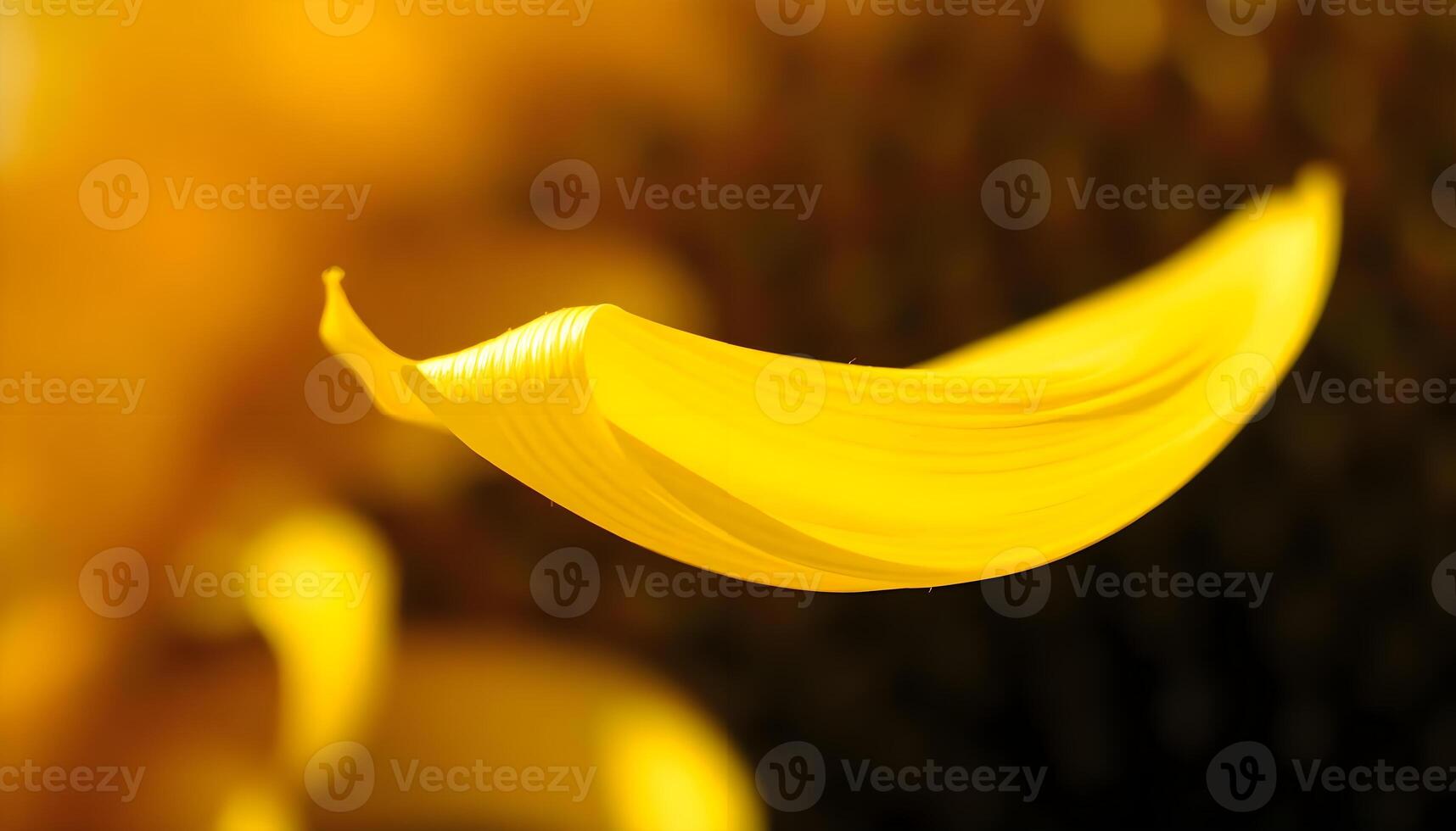 a close up of a yellow flower with a blurry background photo