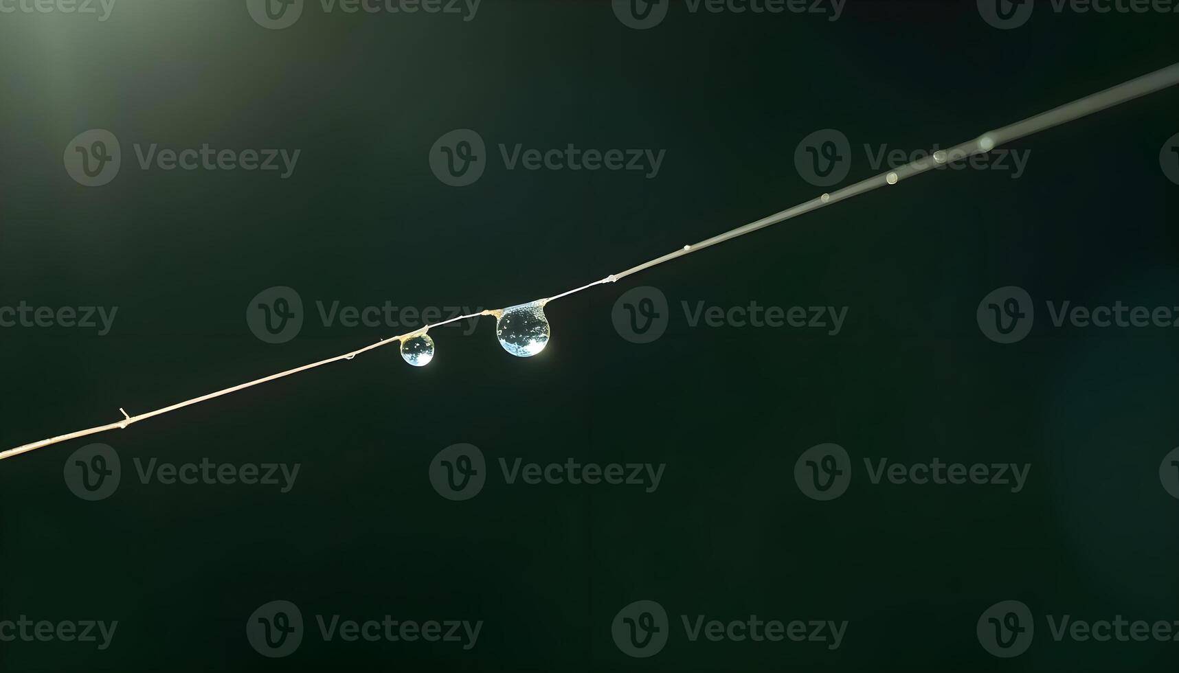three drops of water hanging from a wire photo