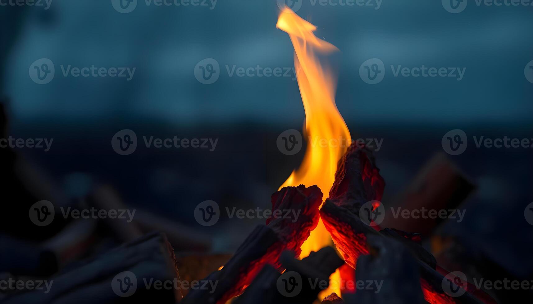 a close up of a fire with a blurry background photo