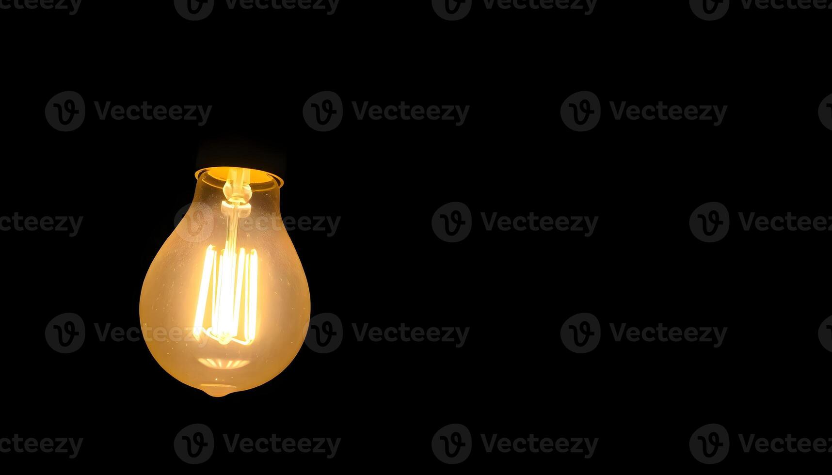 a light bulb is lit up in the dark photo