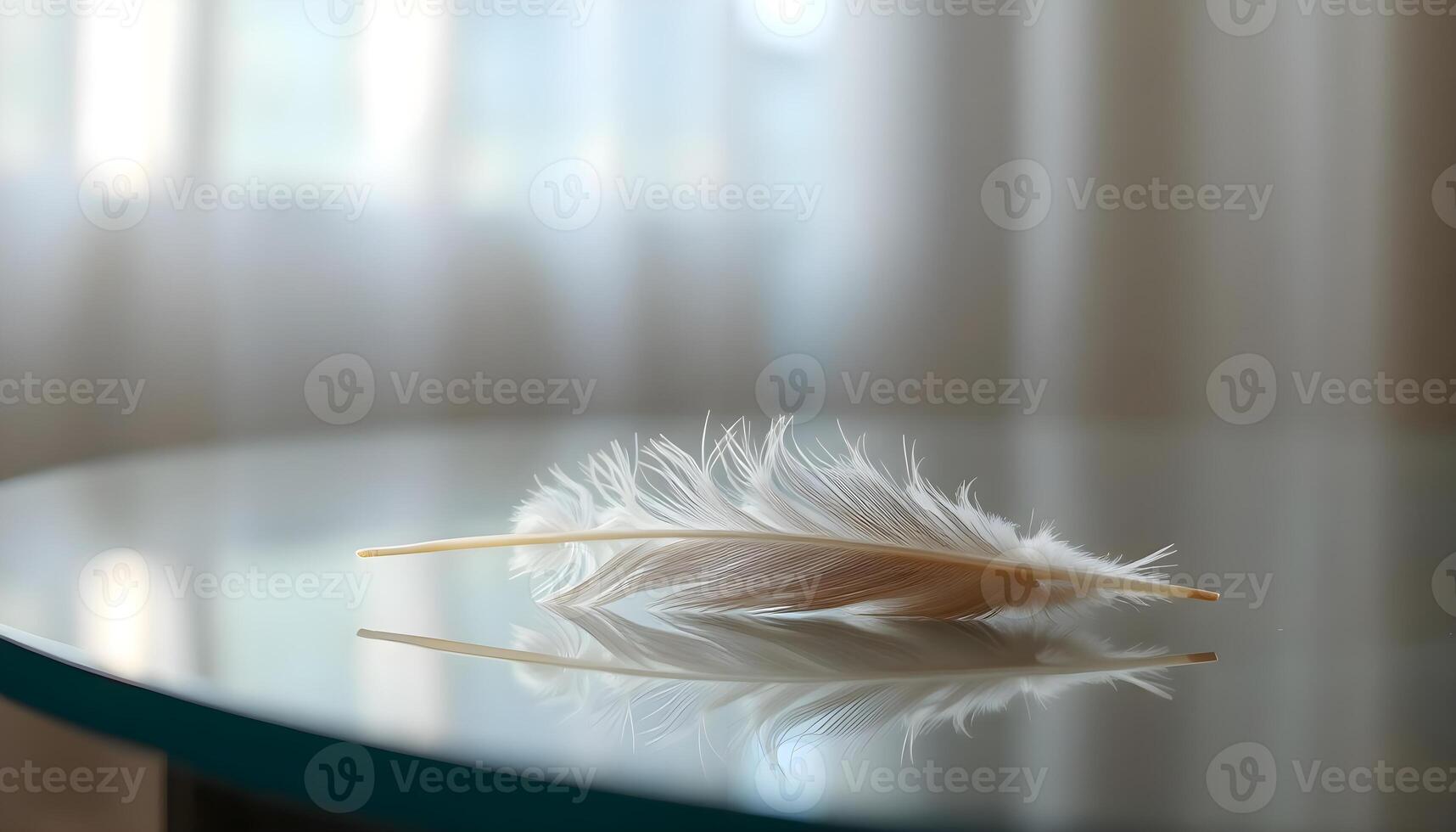 a close up of a feather on a table photo