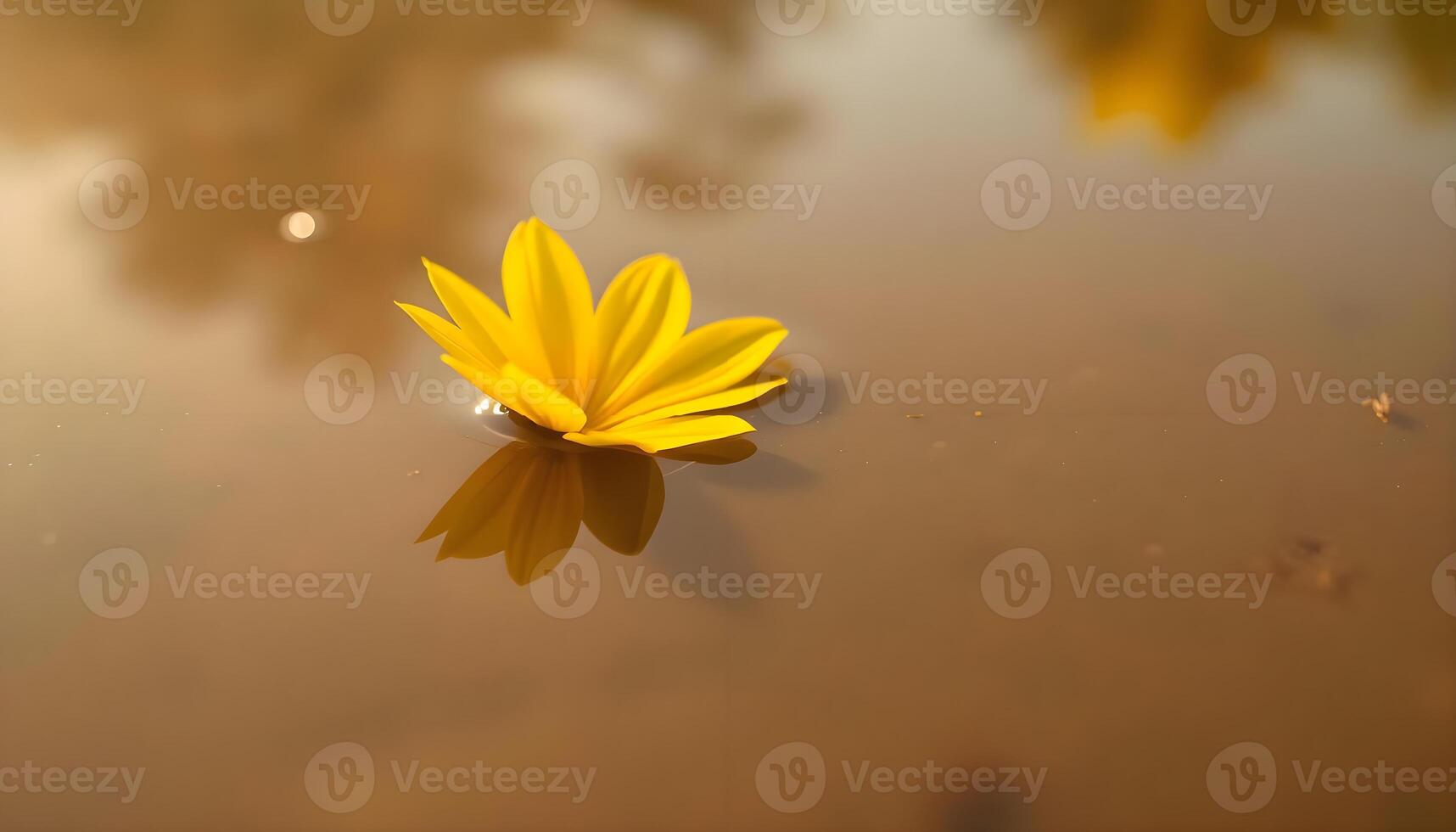 a yellow flower floating on top of a body of water photo
