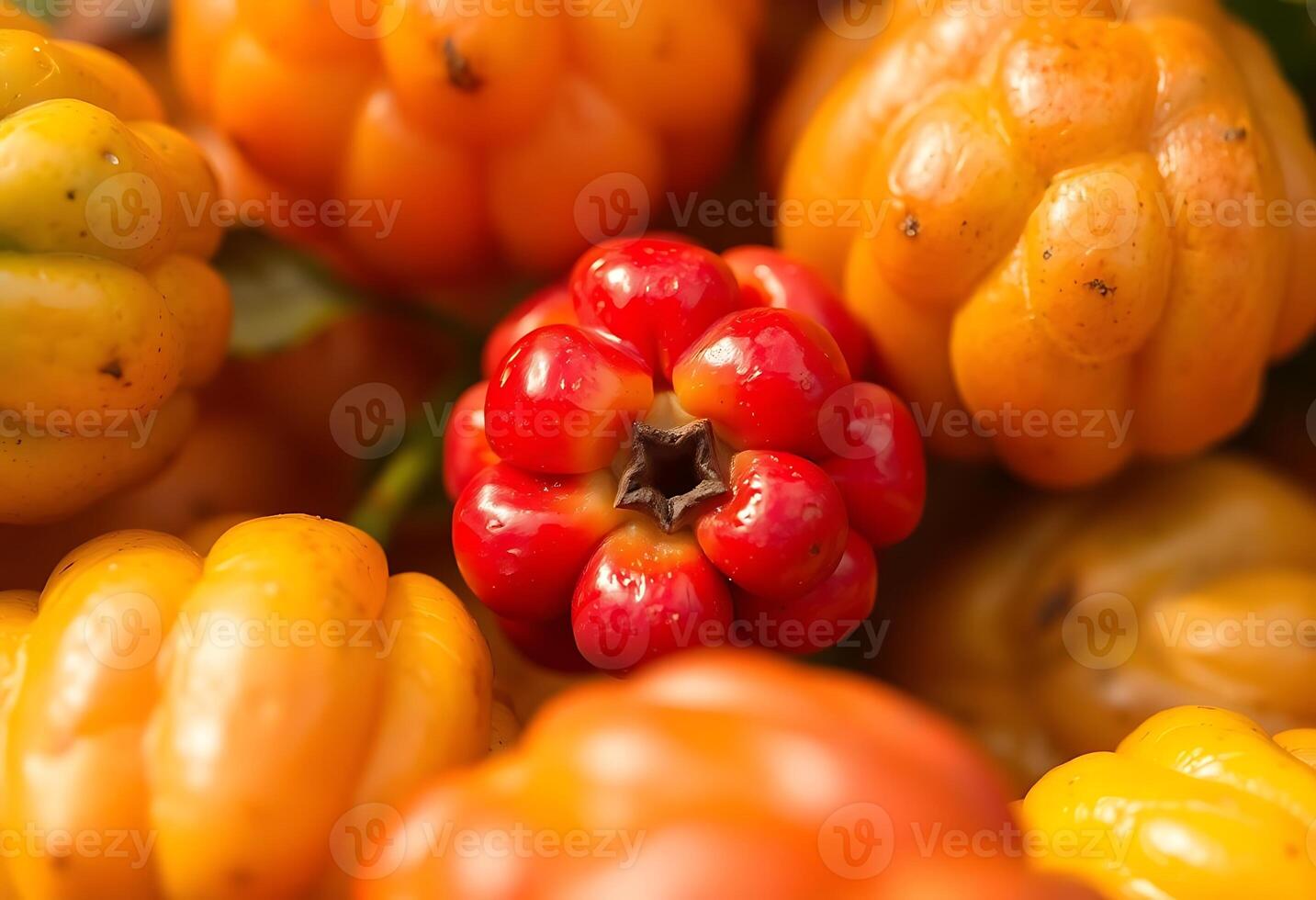 bunch of fruits and vegetables photo