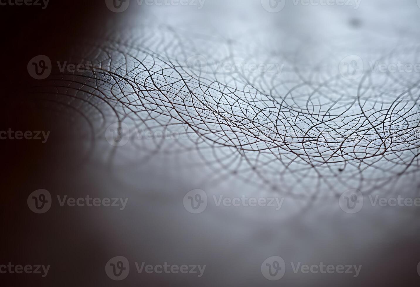 close up of a piece of paper with lines on it photo