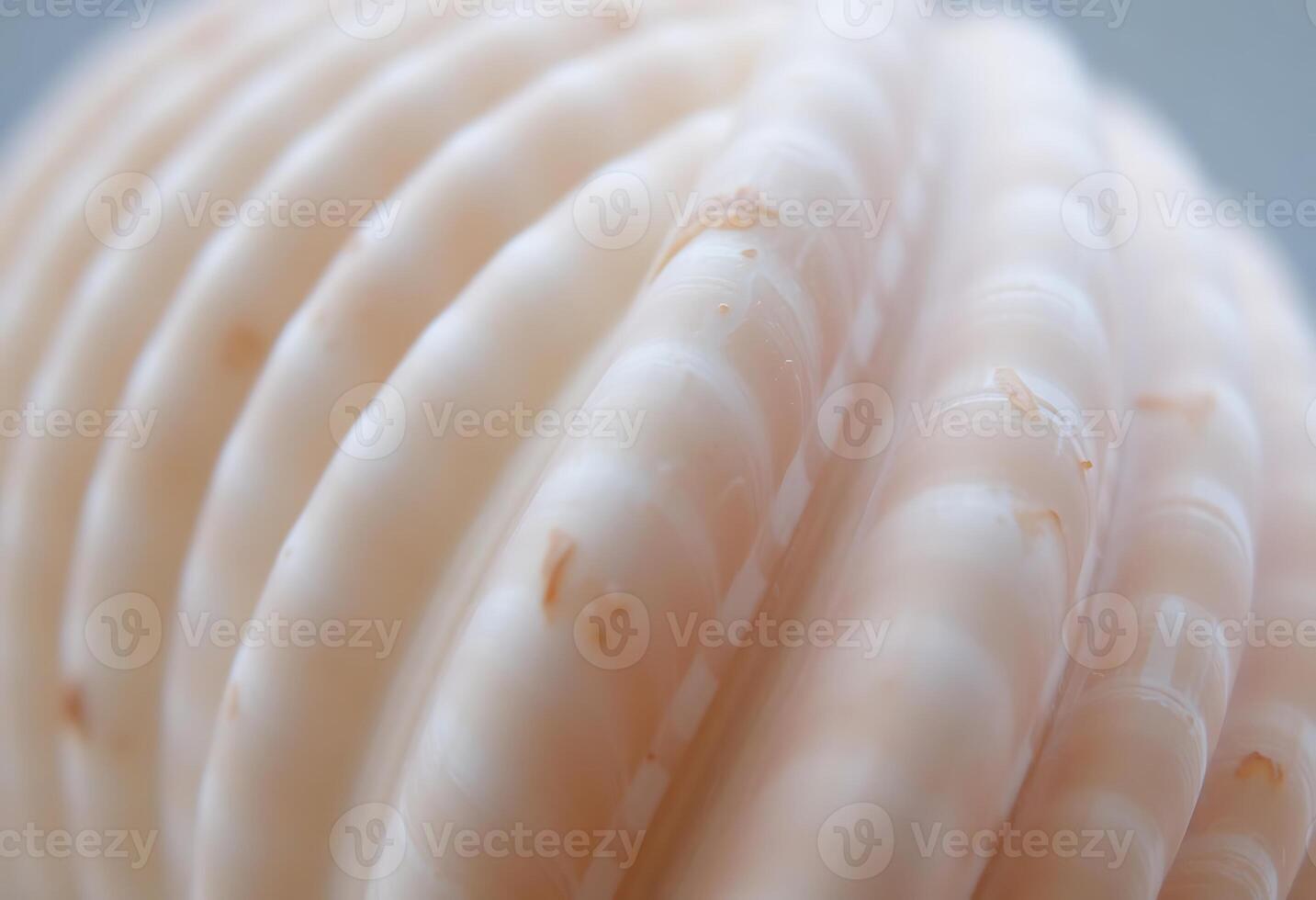 close up of a piece of food photo