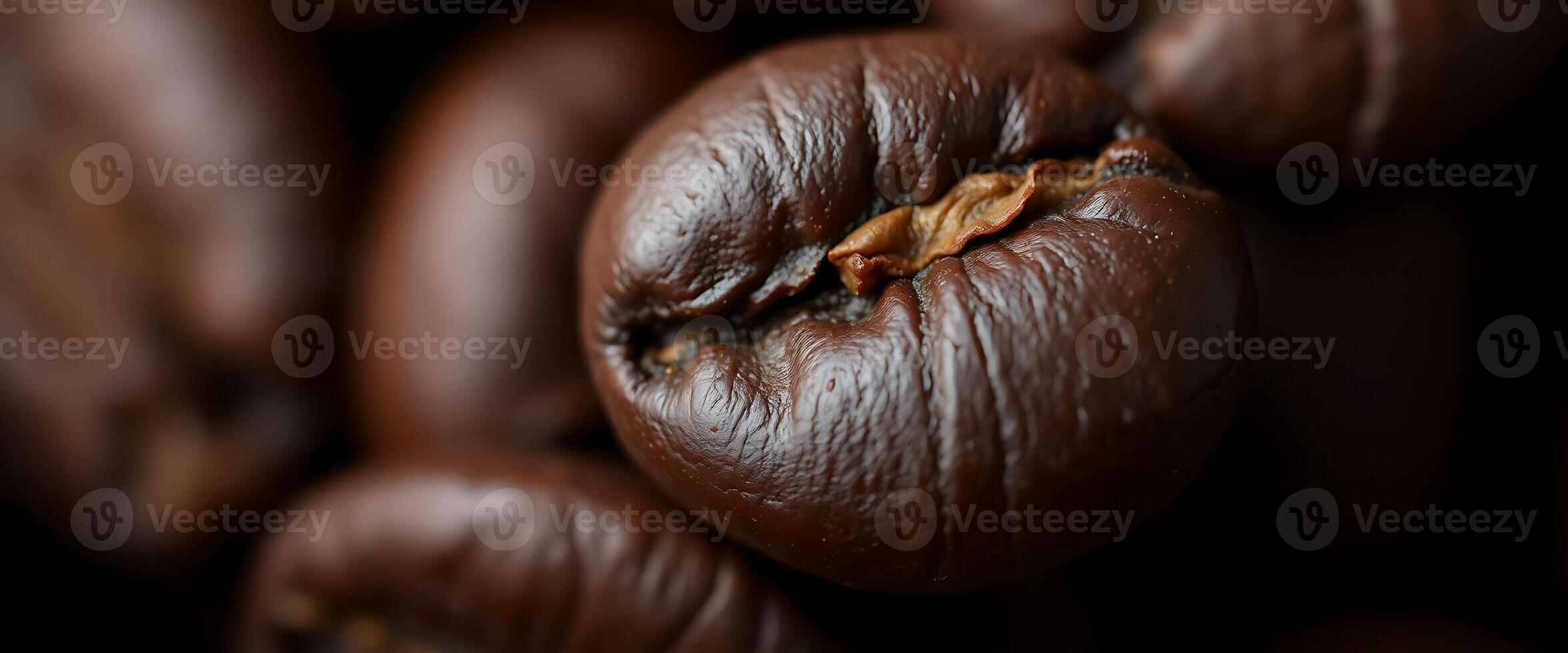 close up of some coffee beans photo