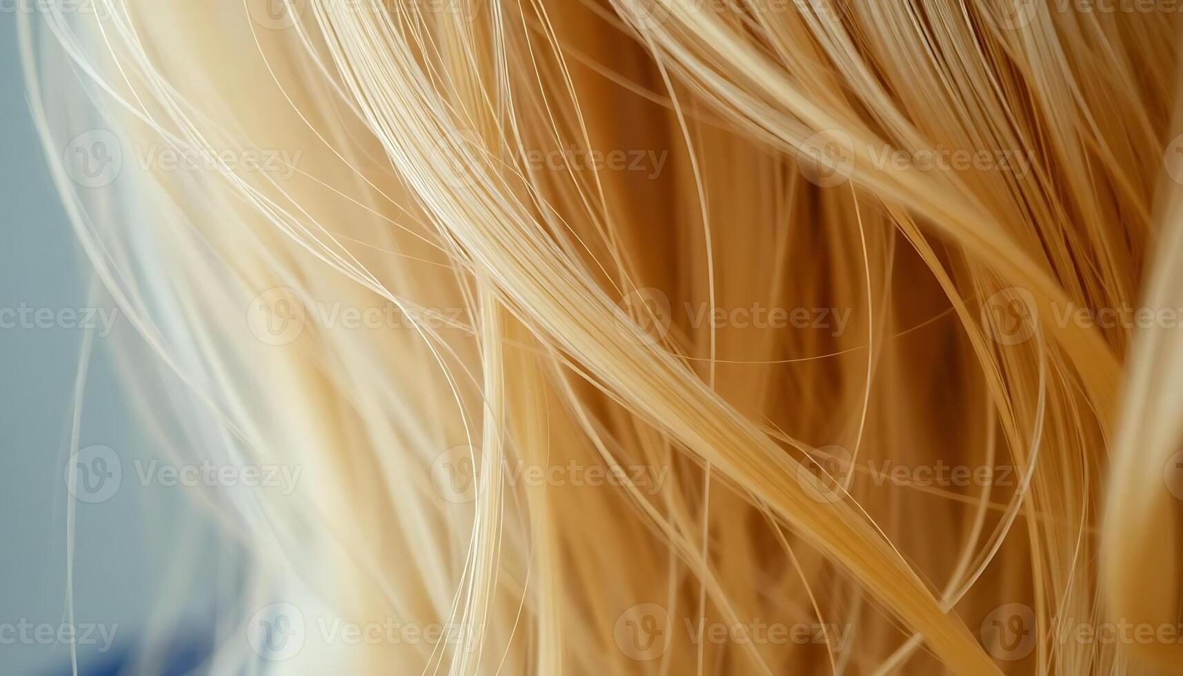 close up of a woman's blonde hair photo