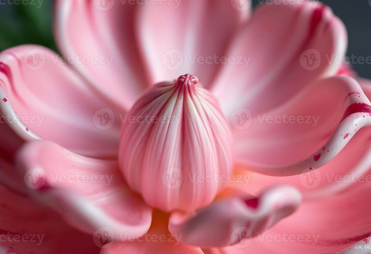 close up of a pink flower with green leaves photo