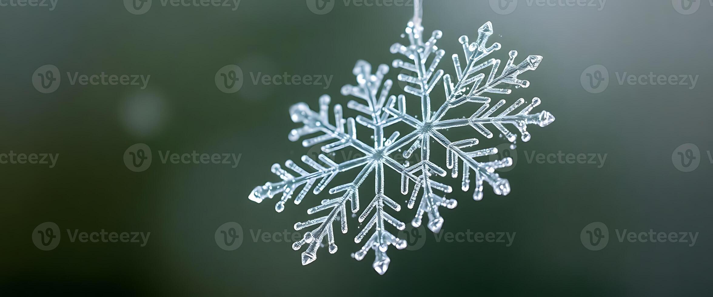 close up of a snowflake ornament photo