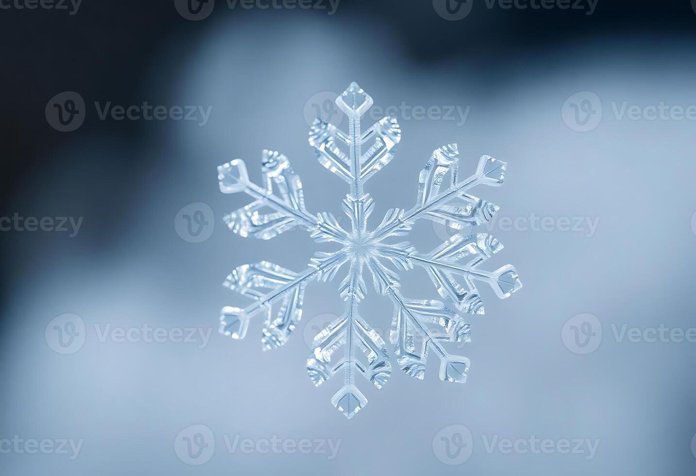 close up of a snowflake on a window photo