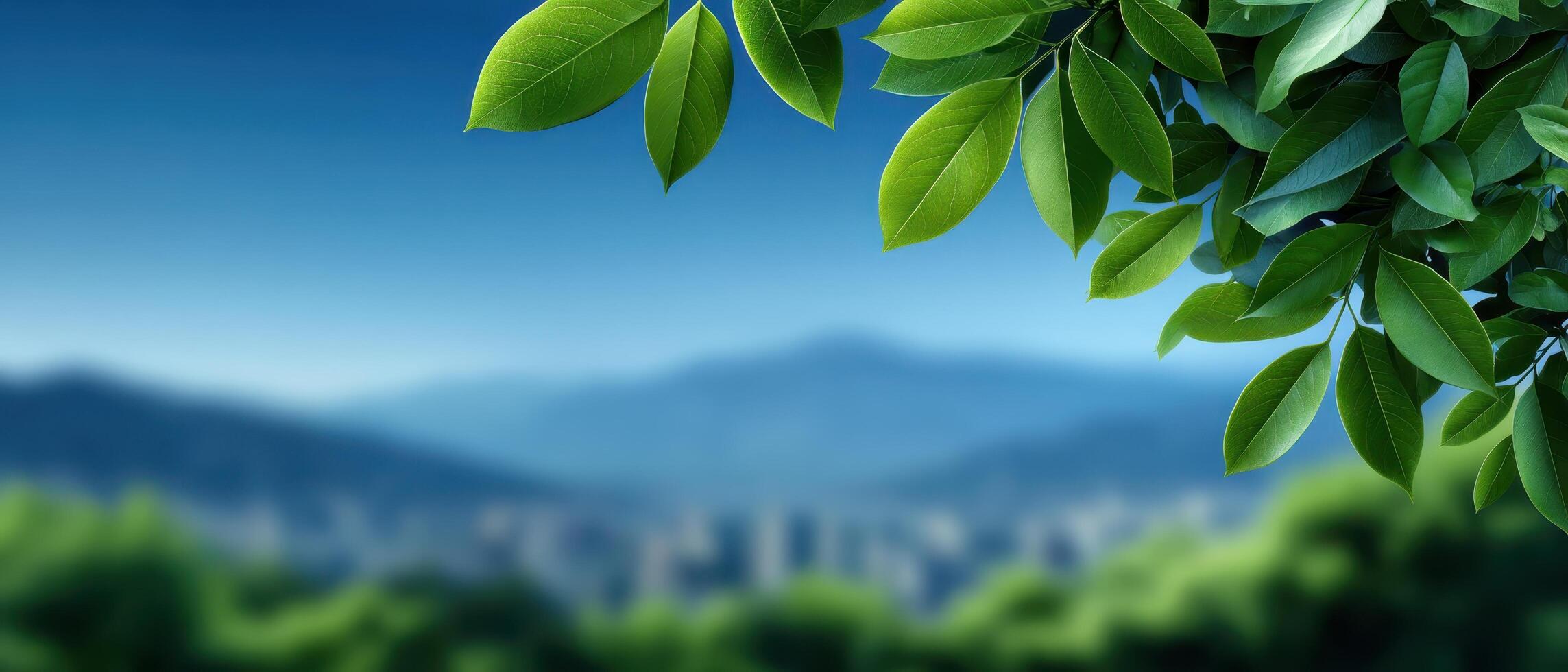 Gentle green leafy view serene mountains nature landscape tranquil environment close-up perspective photo